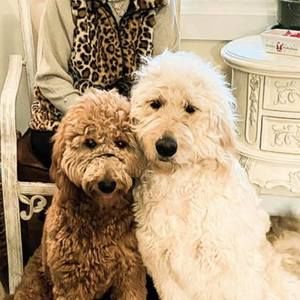 Meet your Posher, Connie